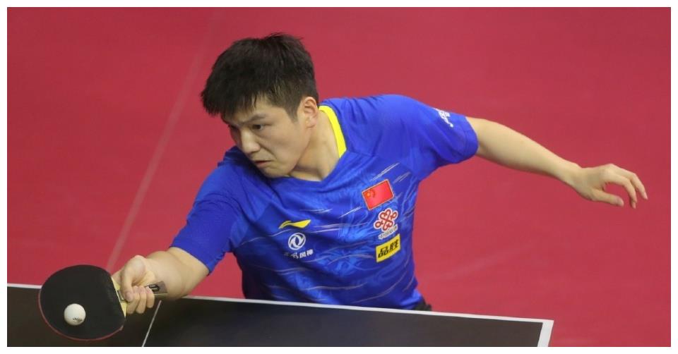 四号种子选 四号种子选